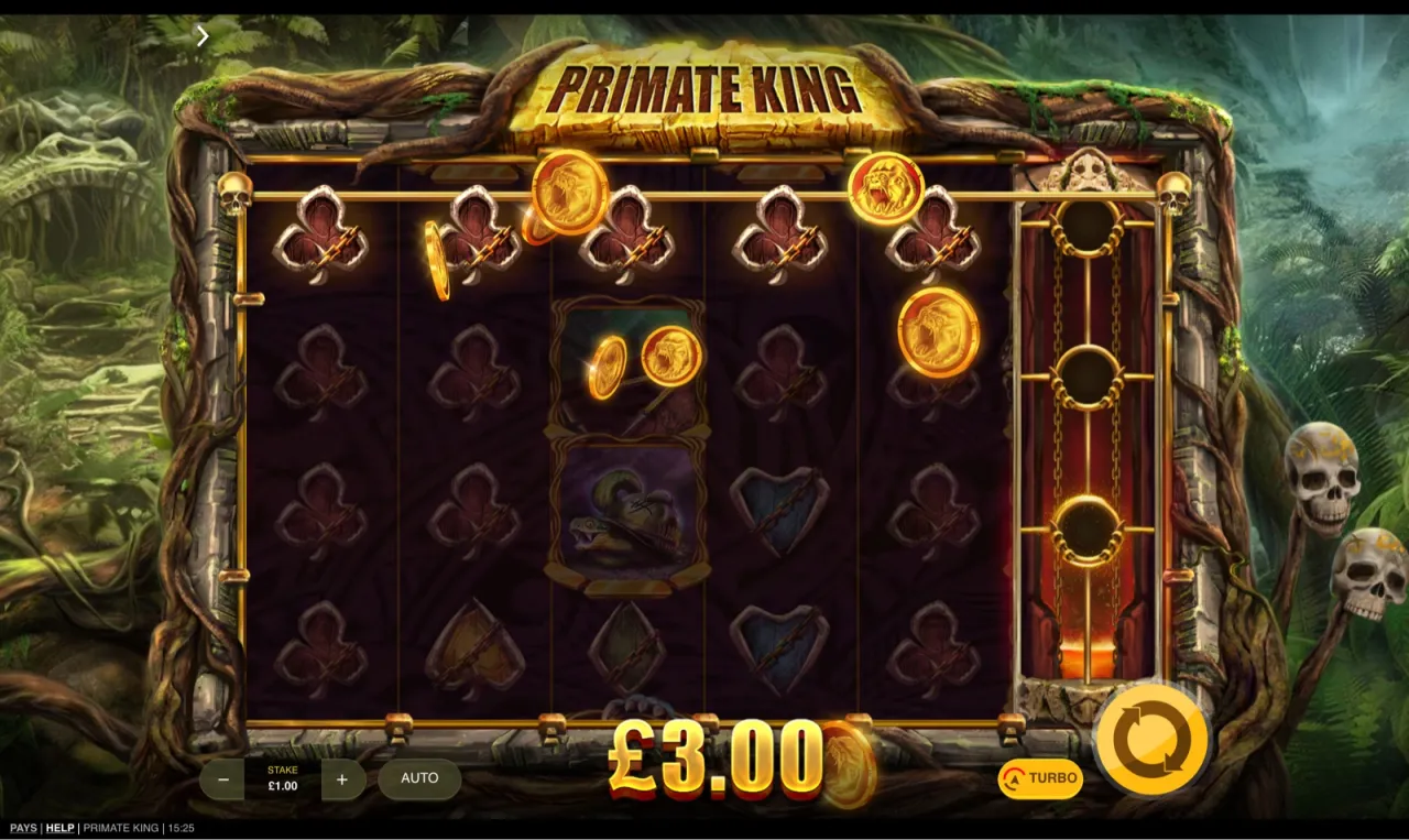 Gold coins scattered across the reels with the coin meter on the right rail