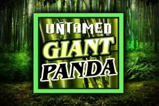 Demo play Games Global — Untamed Giant Panda