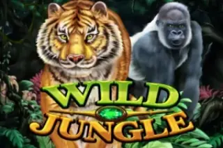 Demo play KA Gaming — Wild Jungle