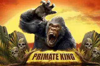 Demo slot Primate King